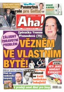 AHA! - 31.3.2023