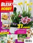 Blesk Hobby - 03/2020