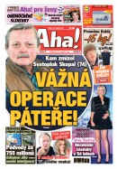 AHA! - 23.01.2026