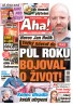 AHA! - 13.01.2025