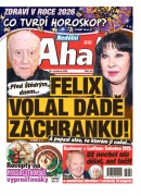 NEDĚLNÍ AHA! - 28.12.2025