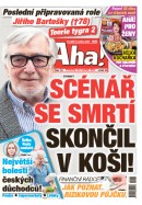 AHA! - 19.05.2025