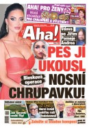 AHA! - 20.05.2025