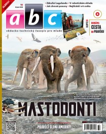 Abc - 10/2025