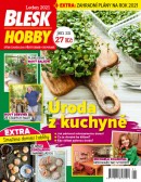 Blesk Hobby - 1/2021