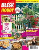 Blesk Hobby - 02/2021