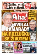 AHA! - 31.01.2026