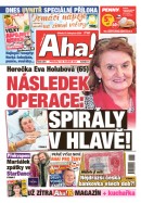 AHA! - 13.11.2024