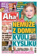 AHA! - 17.01.2025