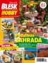 BLESK HOBBY - 10/2026