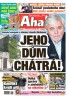AHA! - 01.07.2025