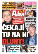 AHA! - 15.1.2022
