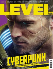 Level 308