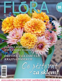Flóra 10-2022