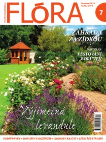 Flora 7-2019
