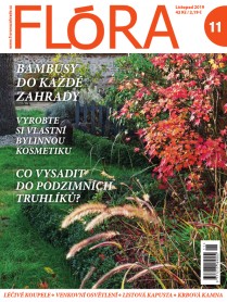 Flora 11-2019