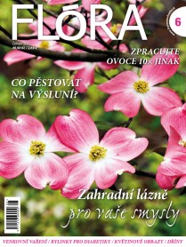 Flóra 6-2022
