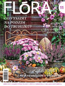 Flora 11-2020