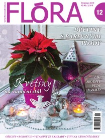 Flora 12-2019