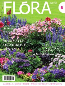 Flora 6-2020