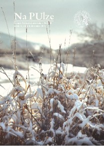 Na PUlze 2012 č.4