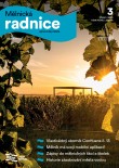 Mělnická Radnice 03/24