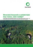 Moravská Amazonie a ostatní lužní lesy: konec, nebo naděje?